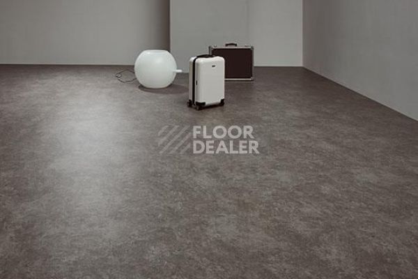 Линолеум Forbo Eternal Material 10012 pebble stucco фото 1 | FLOORDEALER